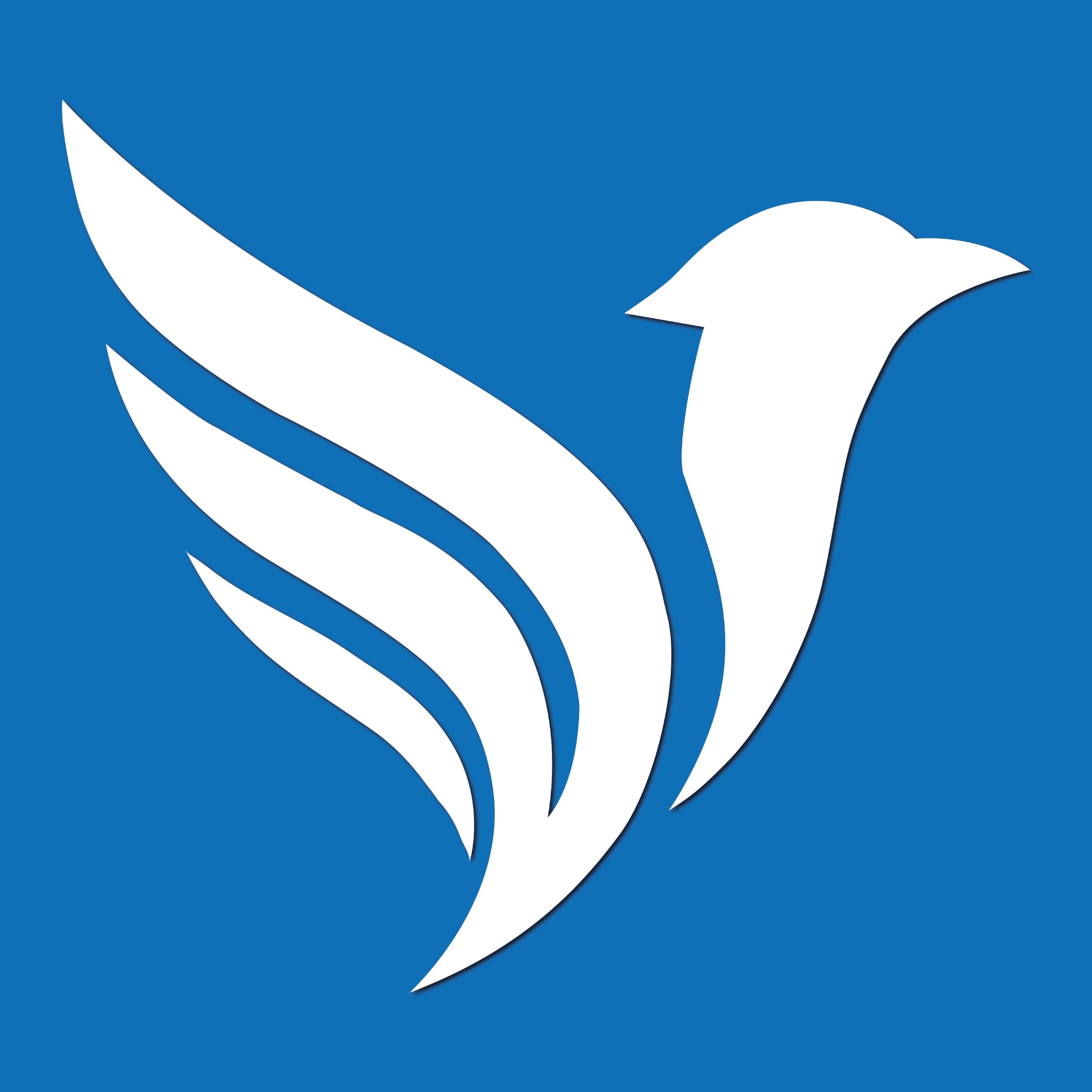 Visionary Tech Partners