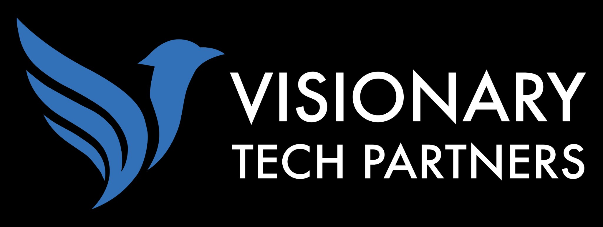 Visionary Tech Partners